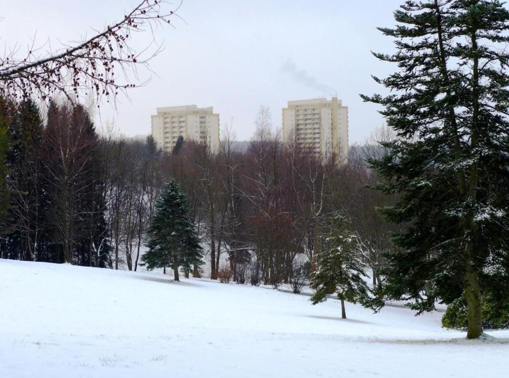 Ferienapartment Mit Schwimmbad Und Bergblick Braunlage Eksteriør bilde