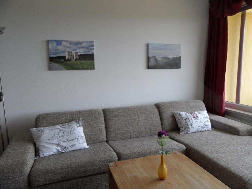 Ferienapartment Mit Schwimmbad Und Bergblick Braunlage Eksteriør bilde